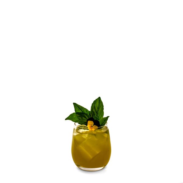 Basil Bloom - Image 3